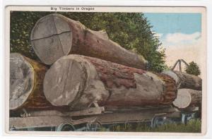 Logging Railroad Cars Oregon 1920c postcard