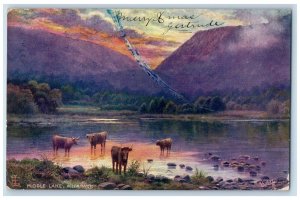 1906 Buffalo, Mountains Scene Middle Lake Killarney Oilette Tuck Art Postcard 