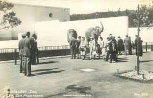 Postcard RPPC 1940s Elephants Zoo Fleischaker California San Francisco 23-12699