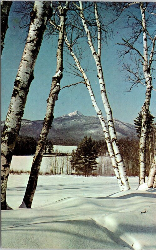 Mt Chocorua New Hampshire NH Snow Covered Winter Setting Trees Chrome Postcard 