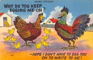 Rooster Comic Houma, Louisiana USA View Postcard Backing 