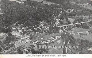Airplane View - Callicoon, New York NY Postcard