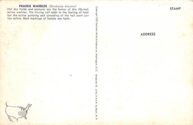 Prairie Warbler Bird Unused 