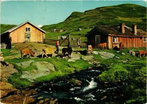 CPM AK At the out-farm NORWAY (829568)