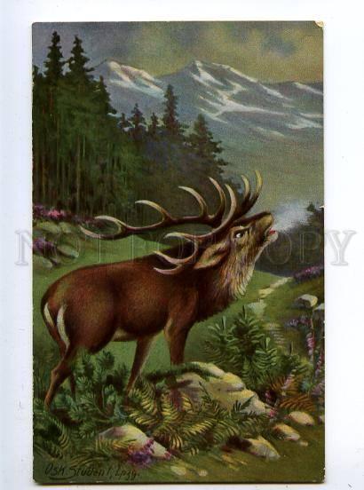 131930 HUNT Deer by STUDENT vintage Color PC