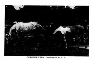 Postcard FARM SCENE Cuddebackville New York NY AS6275