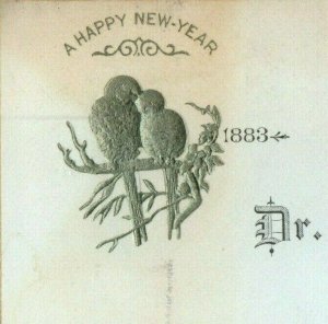 Embossed 1883 Happy New Year's Card Adorable Birds P152