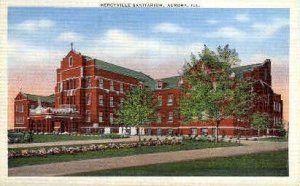 Mercyville Sanitarium - Aurora, Illinois IL  