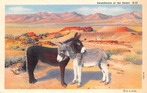 Sweethearts of the Desert Donkey Unused 