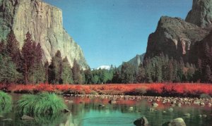 California, Yosemite National Park Picturesque View Landscape, Vintage Postcard