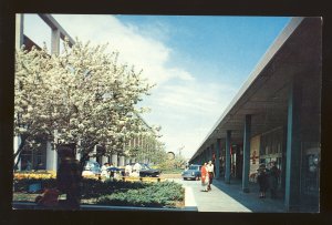 Detroit, Michigan/MI Postcard, Along The East Mall, Northland Center