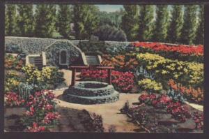 Sunken Gardens Municipal Park Clovis NM Postcard 4449