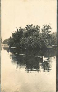 1905 Swans on Lake Park Chicago Illinois undivided postcard 1719