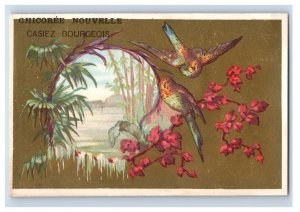 1880s French Coffee Chicoree Nouvelle Colorful Wild Birds Set Of 6 F160