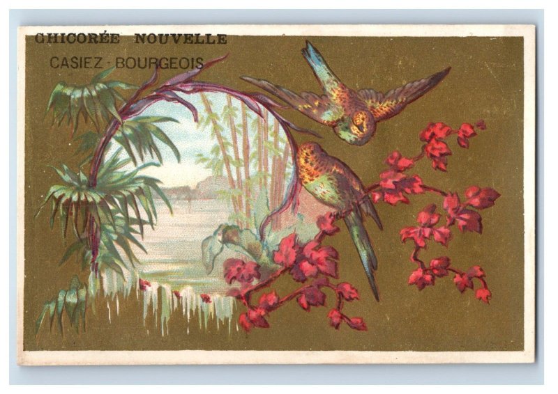 1880s French Coffee Chicoree Nouvelle Colorful Wild Birds Set Of 6 F160