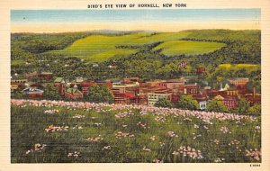 View of Hornell, New York NY s 
