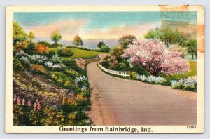 Greetings from Bainbridge Indiana, Scenic Road, Postcard  P7