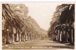 California Beverly Hills Palms On Beverly Drive Real Photo