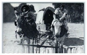 MONKEY Comic  c1950s Arcade Postcard SUBURBANITES! on Burros w/ Covered Wagon