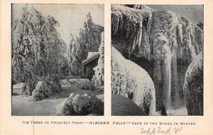 Ice Trees, Prospect Park Niagara Falls, New York NY