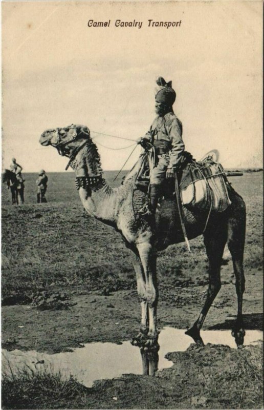 PC CAMEL CAVALRY TRANSPORT INDIA (a21762)