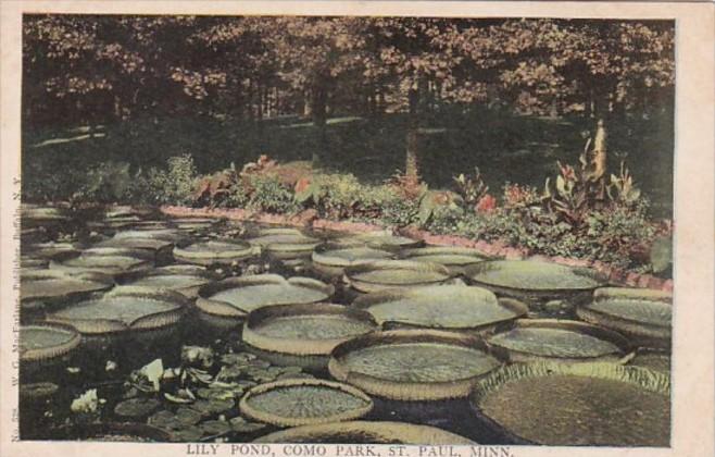 Minnesota St Paul Lily Pond Como Park