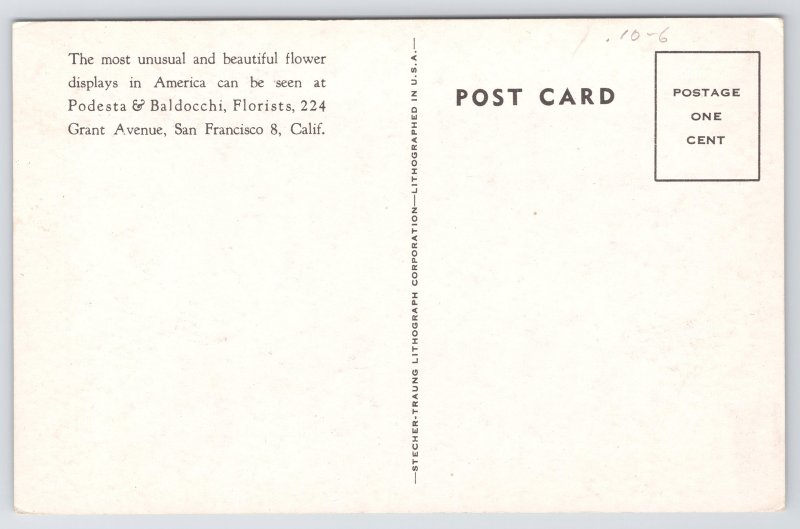 Advertising~Podesta & Baldocchi Florists Flower Display~Vintage Postcard