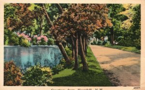 Vintage Postcard 1943 View of Lake Greetings From Hanashill New Hampshire