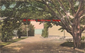 RI, Newport, Rhode Island, Convent Of The Cenacle, Driveway, Albertype