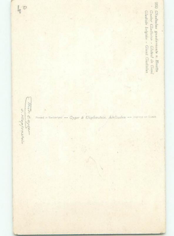 Very Old Foreign Postcard BEAUTIFUL FLOWERS SCENE AA4649