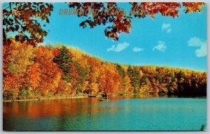 Vtg Drummond Island Michigan MI Lake View Autumn Maples Pine 1950s Postcard