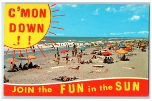 c1950's Greetings From Avalon Beach Swimming Tourist Sun Bathing NJ Postcard