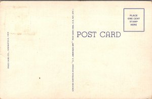 Vintage Postcard Snyder Park, Springfield, Ohio JV7