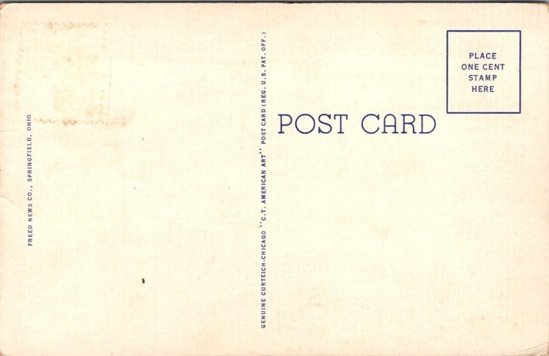 Vintage Postcard Snyder Park, Springfield, Ohio JV7