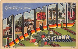 J38/ Hammond Louisiana Postcard Linen Large Letter Greetings from  190