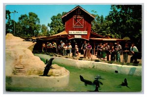 Knott's Berry Farm Ghost Town Calif. Seal Pool & Old Mac Donald's Farm Postcard