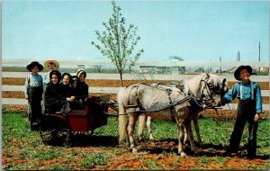 Pennsylvania Amish Country Amish Children With Ponies and Cart