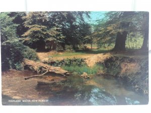 Vintage Postcard A New Forest Stream Hampshire 1960s VGC