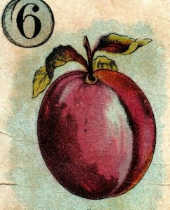 1880s Victorian Trade Card Lombard Plum For Pie N0.5 P228