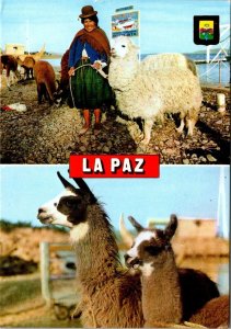 VINTAGE CONTINENTAL SIZE POSTCARD ALTIPLANO WOMAN WITH HER LLAMAS BOLIVIA 1970s