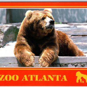 c1980s Atlanta, GA Zoo @ 800 Cherokee Ave Ron, the Alaskan Brown Bear 4x6 PC M14