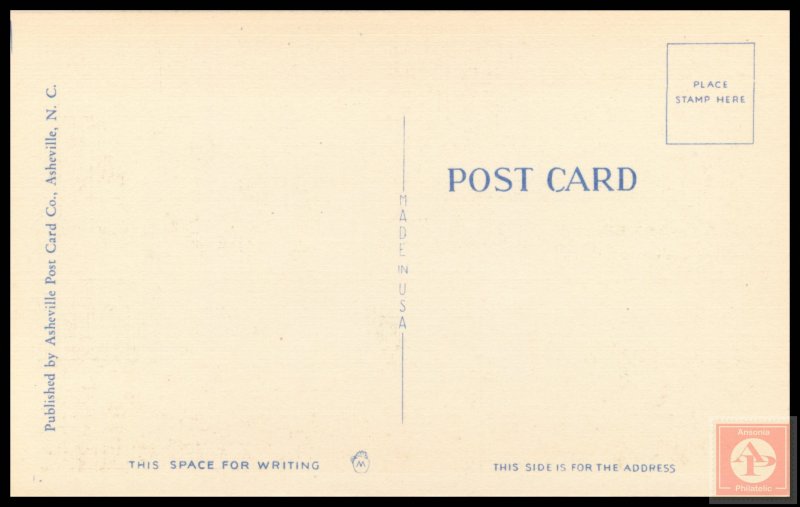 Beautiful Surf by Moonlight