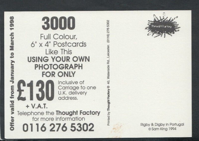 Advertising Postcard - Thought Factory Photograph Postcards - Two Dogs    T3585