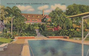 Florida Clearwater Beautiful Roebling Estate With Pool