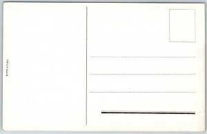 Merok Norway c1906 Postcard Two Women With Monument