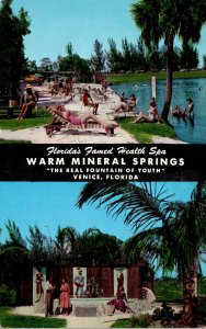 Florida Venice Warm Mineral Springs 1957