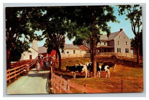 Vintage 1960's Postcard The Amish Homestead Cows Farm Lancaster Pennsylvania