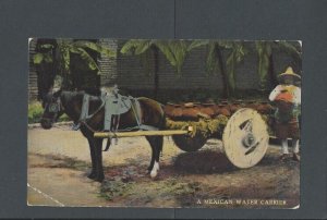 Post Card Animals Horse & Water Cart Mexico
