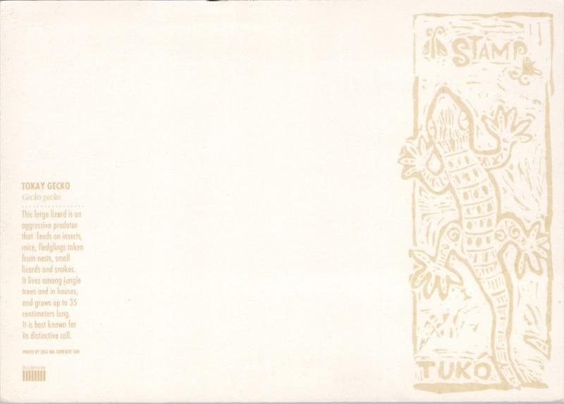 Tokay Gecko Unused Vintage Postcard D54
