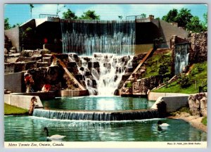 Waterfall, South American Waterfowl Exhibit, Metro Toronto Zoo, Ontario Postcard